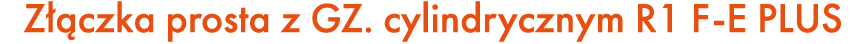 Z czka prosta z GZ. cylindrycznym R1 F E PLUS