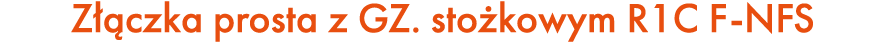 Z czka prosta z GZ. sto kowym R1C F NFS