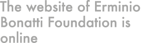 The website of Erminio Bonatti Foundation is online