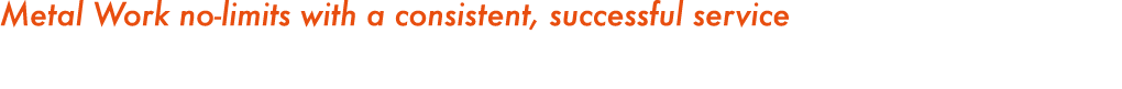 Metal Work no-limits with a consistent, successful service